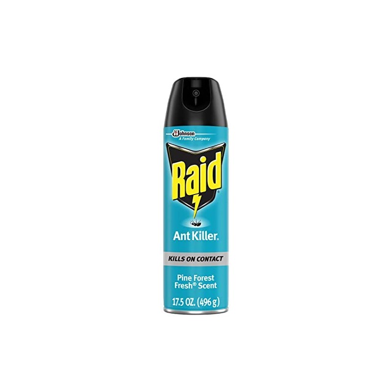 Raid Ant Killer Spray Pine Forest 17.5 Ounce (Pack of