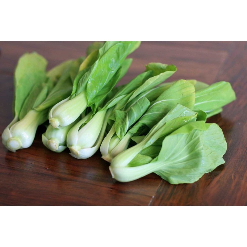KIRA SEEDS - Seeds Chinese Cabbage Bok Choy - Heirloom