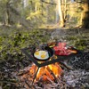 REDCAMP Folding Campfire Grill Heavy Duty Steel Grate, Portable Camp