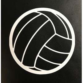 C60620 (White) Volleyball 2pack 3.5in