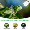 LUCKY HERP UVA UVB Reptile Light 5.0, Tropical UVB 100