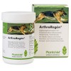 ArthroRegen 160 Tablets for Joint Problems SaluVet