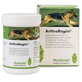 ArthroRegen 160 Tablets for Joint Problems SaluVet