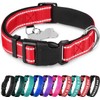 TECEUM - Collar para perro azul cielo - Collar para