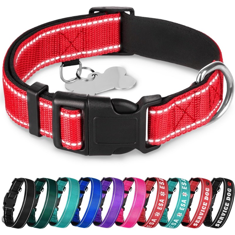 TECEUM - Collar para perro azul cielo - Collar para