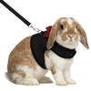 Hypeety Bunny Kitten Harness No Pull Cat Leash Stylish Vest