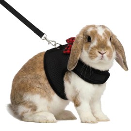 Hypeety Bunny Kitten Harness No Pull Cat Leash Stylish Vest Harness for Small Animal Adjustable Soft Breathable Walking Harness Set (Black, S)