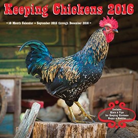 Keeping Chickens 2016: 16-Month Calendar September 2015 through December 2016
