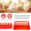 OUYOLAD 4 Plastic Flip Top Bird Small Poultry Feeder for