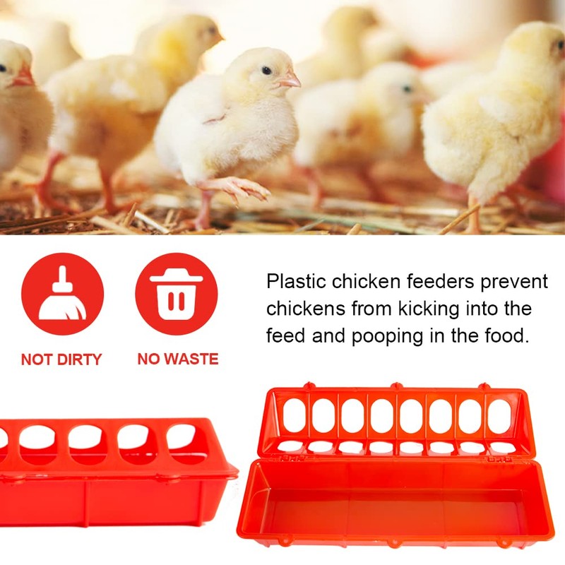 OUYOLAD 4 Plastic Flip Top Bird Small Poultry Feeder for