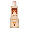 Shampoo Nutritivo E Hidratante Etniker X 250ml