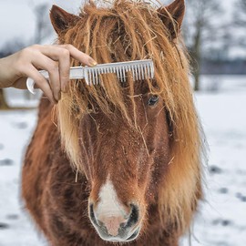 LIXADA Horse Mane Comb Aluminum Alloy Horse Comb Mane Tail Comb Metal Horse Care Tool 6.5IN / 3.9IN / 3.5IN / 3.2IN