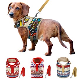 Muttitude World Collection Harness for Small Breeds (Small, Pueblo)