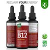 Nature Provides Vitamin B12 Liquid Drops (3000 mcg) Made in
