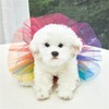 Yuyeran Puppy Dog Cat Tutu Skirt Pet Lace up Tulle