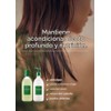 AROMATICA Set de Champú y Acondicionador para El Cuero Cabelludo