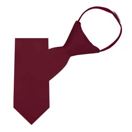 Jacob Alexander Young Boys' Solid Color 11 inch Pre-Tied Zipper Neck Tie - Burgundy