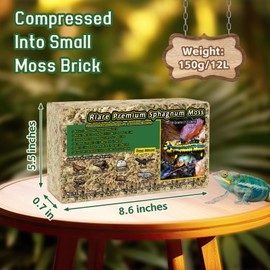 Riare 5.3OZ Premium Sphagnum Moss for Reptiles- 6QT Natural Reptile Moss Dried, Forest Live Moss for Terrarium, Frogs Snake Peat Moss Bedding for Leopard Gecko Turtle Anoles Salamanders Orchids