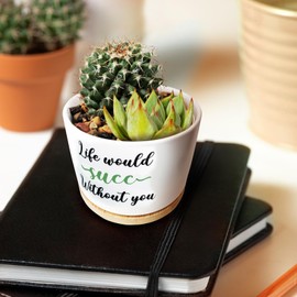 Lasimfa Funny Succulent Plant Pots, Small Ceramic Cactus Planter Pot for Indoor Outdoor, Cute White Garden Succulent Pots with Drainage Hole, Fun Pots for Plant Lover Office Home Decor Gift