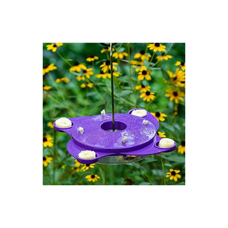 BRECK'S Purple Butterfly Feeder - Create a haven for butterflies