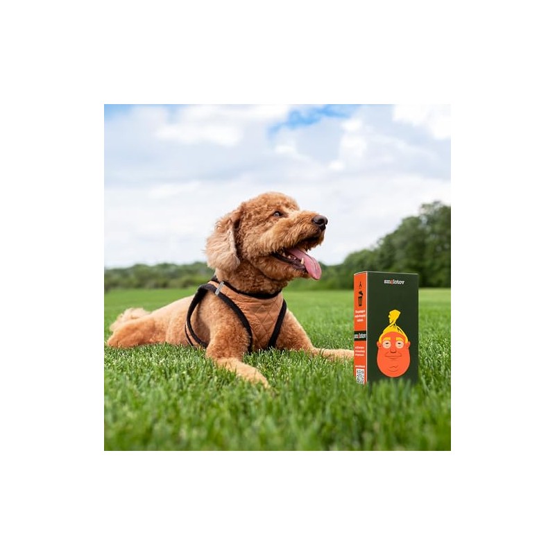 Premium Dog Poop Bags, Unscented, Leakproof, 4 Rolls (60 Count)