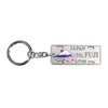 Castle Enterprise Japanese Souvenir Keychain (License Plate Mt.FUJI)