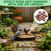 1 Pack Bird Bath Copper Disk for Physical Clean Water