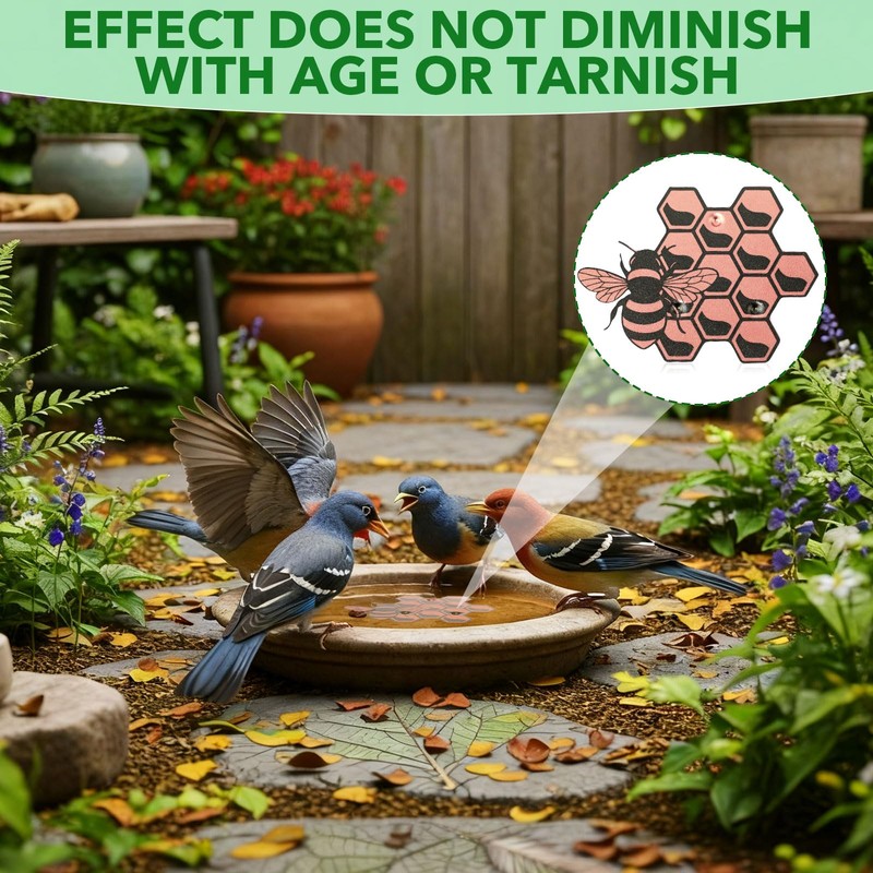 1 Pack Bird Bath Copper Disk for Physical Clean Water