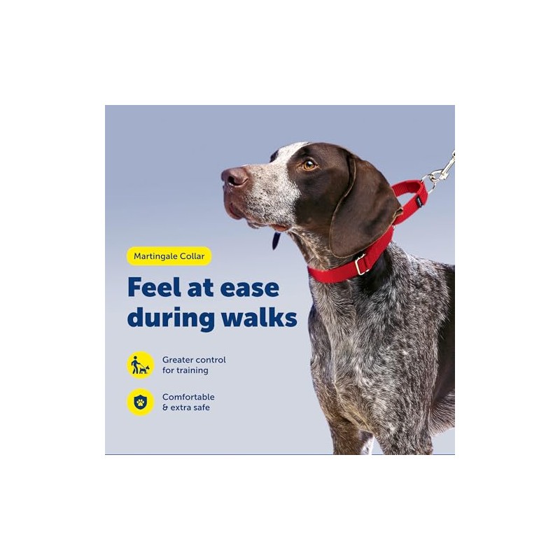 PetSafe Martingale Collar 1 Large, Red