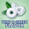 Life Savers Wint O Green Breath Mints Bulk Hard Candy,