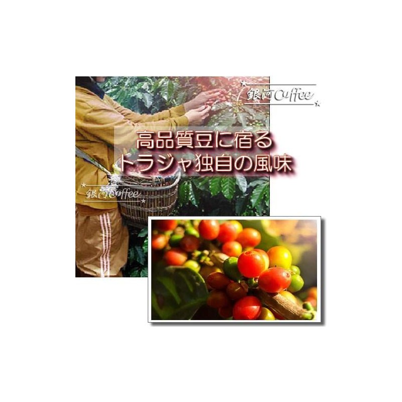 Coffee Raw Beans Toraja Celebes Indonesia Galaxy Coffee (8.8 oz