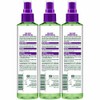 Garnier 4 PACK GARNIER FRUCTIS STYLE CURL SHAPE DEFINING SPRAY