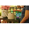 Miracle-Gro Water Soluble Azalea, Camellia, Rhododendron Plant Food - Fertilizer