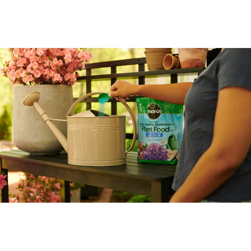 Miracle-Gro Water Soluble Azalea, Camellia, Rhododendron Plant Food - Fertilizer