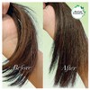 Herbal Essences Bio Renew Argan Oil of Morocco Conditioner 400mL