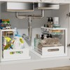 REALINN Under Sink Organizer, Pull Out Cabinet Organizer 2 Tier