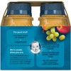 Gerber Juice Fruit 2 Apple, 1 Pear, 1 White Grape