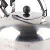 3L Stainless Steel Whistling Tea Kettle Fast Heating One Touch