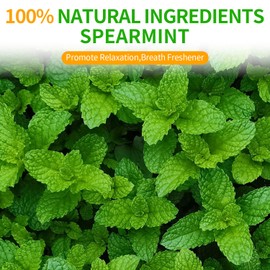 Rilltea Spearmint Tea Spearmint Tea Bags, 40 Teabags,Premium Spearmint Leaves - Non-GMO - Caffeine-free - High in Antioxidant & Support Digestion Caffeine-Free Herbal Tea