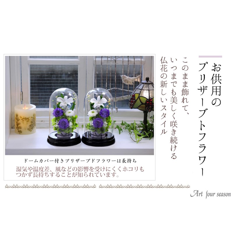 Art Four Seasons Flower Vs. Design SET Lira Preserved Flower
