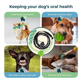 Dog Chew Toys, Flirt Pole for Dogs, Indoor Outdoor Dog Toys, Tug of War Dog Training Toy, Bungee Hanging Ball Tug, Pull Toy for Small to Large Dogs, Resistant Dog Tree Tug Toy, Spring Pole Dog Rope