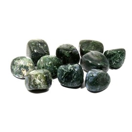 CrystalAge Moss Agate Tumble Stones (20-25mm) - Pack of 10