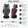 Owl Decoy for Bird Deterrent – Shake Head Garden Scarecrow