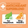 Ryl Iced Tea, Peach, Antioxidant Superblend, Zero Sugar, Low Carb,