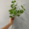 3Pcs Mint Leaves Artificial Greenery Stem 21.6In Green Fake Leaves
