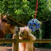 Besimple Hay Ball for Horses, Goats, Sheep, Stress Relief, Pack