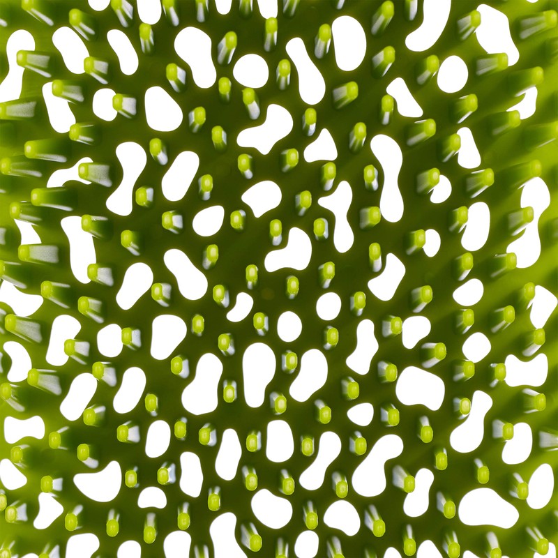 little Choice Drainer Baby Bottles, Collection Tray, Grass Design, Bottle