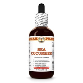 Sea Cucumber (Cucumaria Frondosa) Dry Whole Tincture, Made in Hawaii, All Natural, Vegan, Pure Liquid Extract - 2 fl.oz