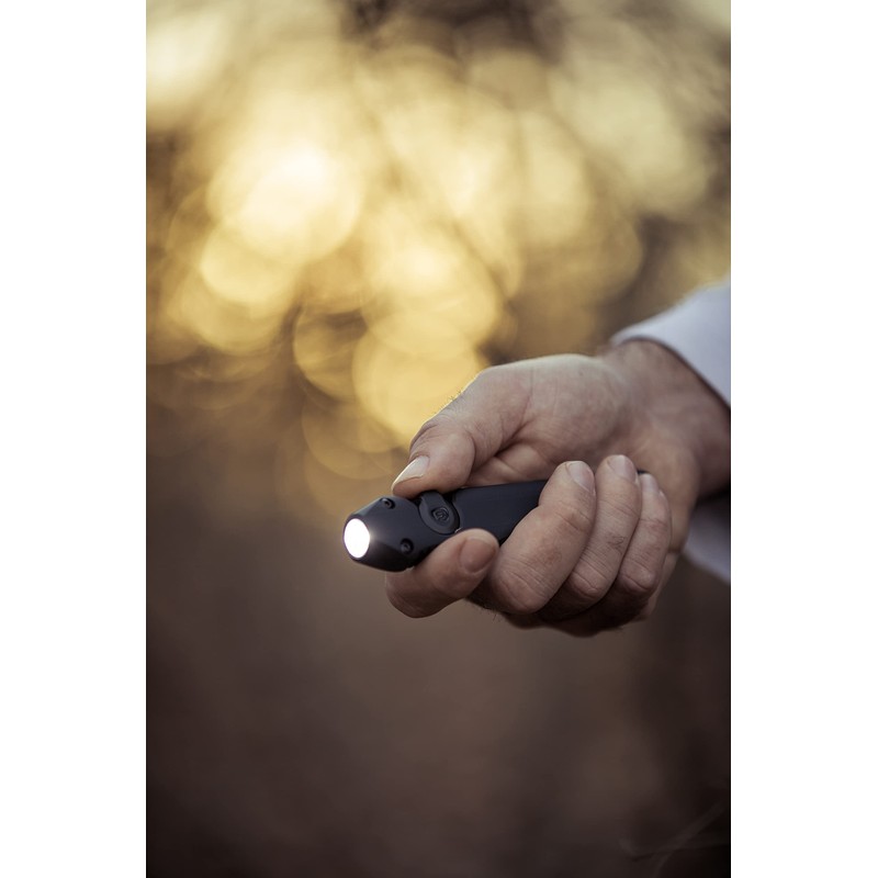 Streamlight 88810 Wedge 1,000-Lumen Max 300-Lumen Standard 1,200-Candela Flat Everyday