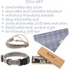 Pettsie Matching Dog Collar, Removable Bandana and Owner Friendship Bracelet,